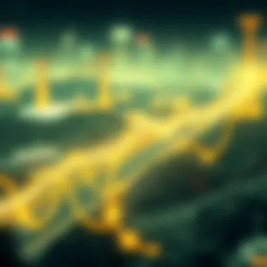 Magnificent Current Trends in Carbon Credit Rates Magnificent Current Trends in Carbon Credit Rates