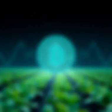 Magnificent Exploring Bifi: The Future of DeFi and Yield Farming