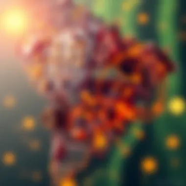 Magnificent Understanding ICP Brazil: A Comprehensive Analysis