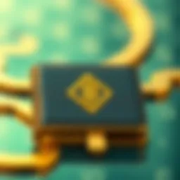 An In-Depth Exploration of the Binance Wallet: Features, Functionality, and Future Introduction