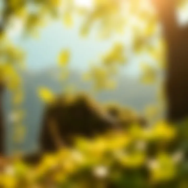 Climate Friendly Investing: Navigating the Intersection of Sustainability and Finance Summary