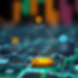 A conceptual diagram illustrating the different types of cryptocurrency contracts.