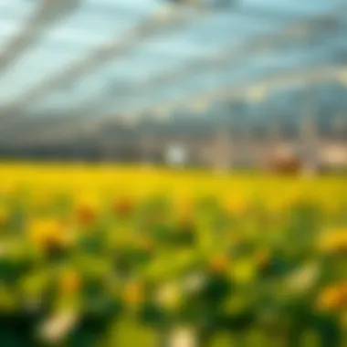 Investment potential in agricultural technology and cryptocurrencies