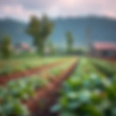 Sustainable farming practices enhanced by blockchain technology