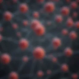 Visual representation of the Polkadot network architecture