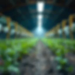 Exploring Yield Farming: Definition and Mechanisms Introduction