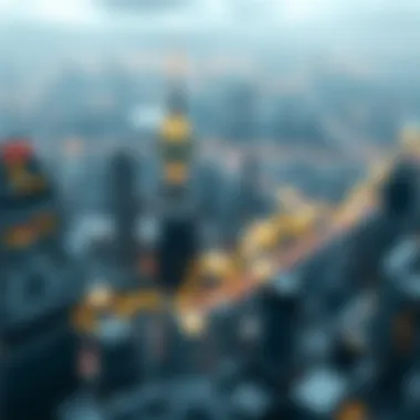 Investor behavior in shifting markets